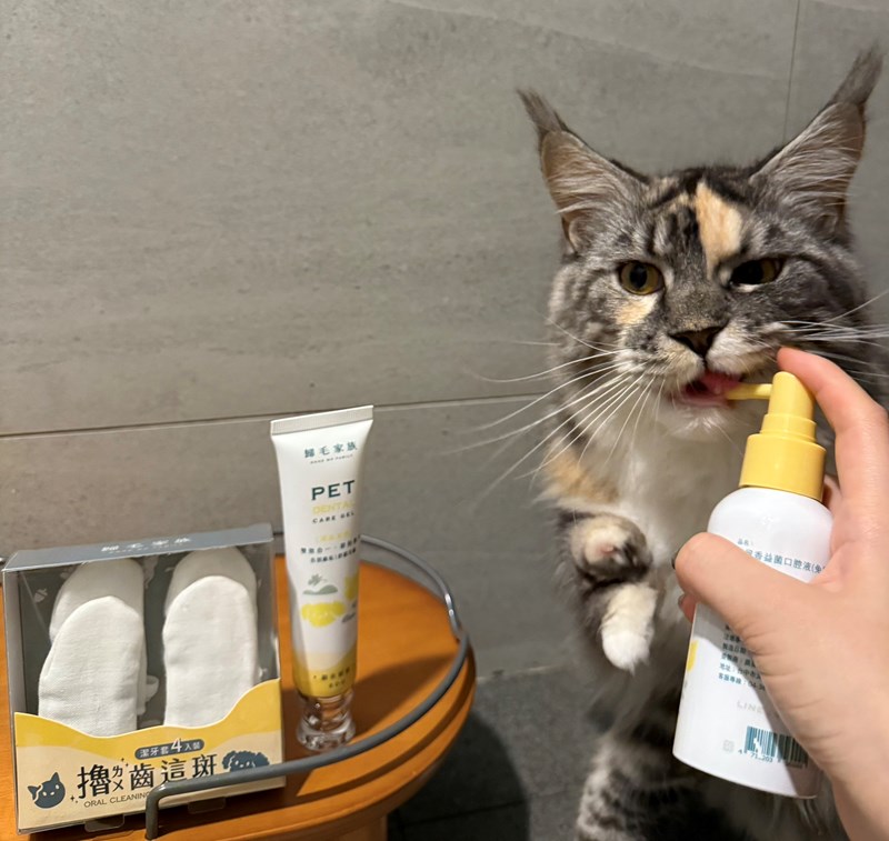 試用